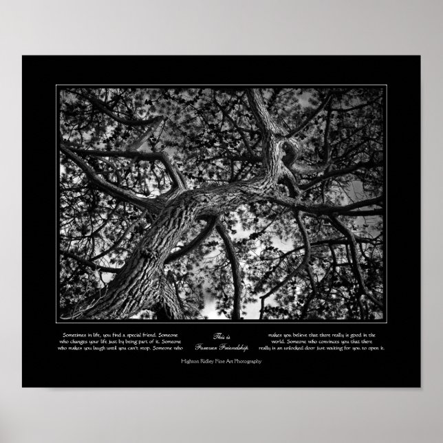 Poster Amizade para sempre, pinheiro canadense, arte fina (Frente)