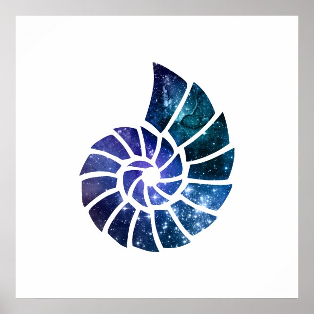 Poster Ammonite Silhouette Art (Frente)