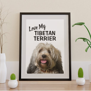 Pôster Amo o meu retrato de Tibetan Terrier