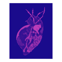 Amoba Minx: Orquídeas