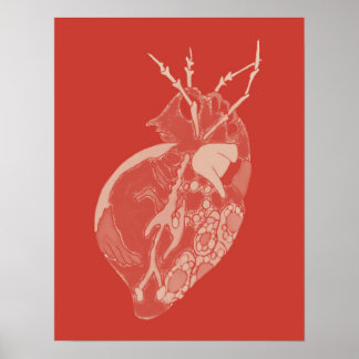 Poster Amoba Minx: Rota Balm