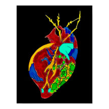 Amoba Minx: Todos os Amigos