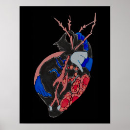 Poster Amoba Minx: Veias e Navios