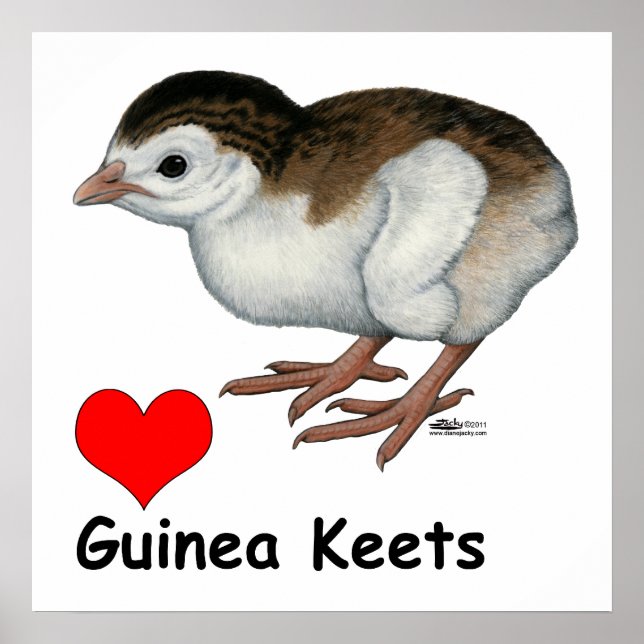 Poster Amor a Guinés Pintadinhos (Frente)