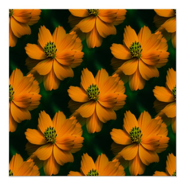 Pôster Amor à luz do sol... (Frente)