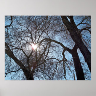 Poster Amor à Natureza