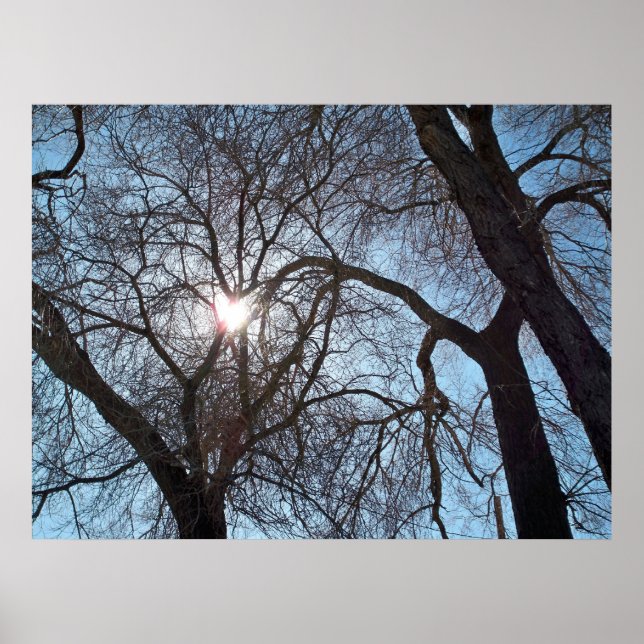 Poster Amor à Natureza (Frente)