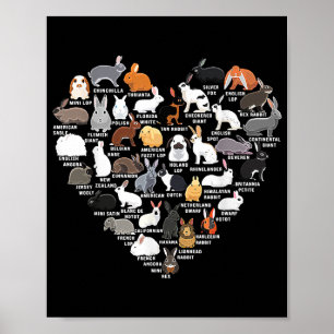 Poster Amor Coelhinho Engraçado Coração do Coelho