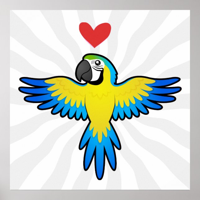 Poster Amor de Arara / Papagaio (Frente)