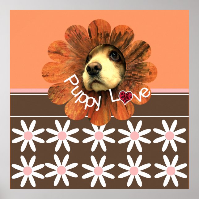 Pôster Amor de Cachorrinho (Frente)