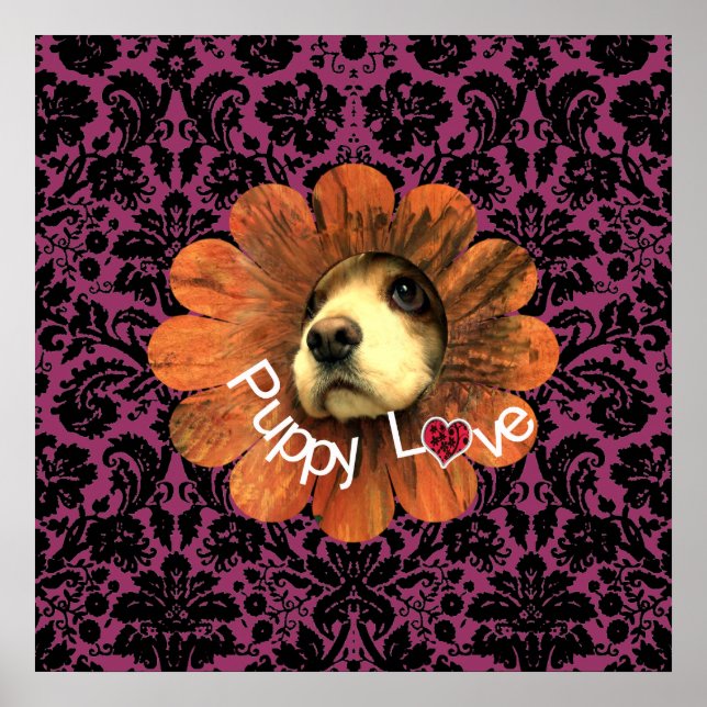 Pôster Amor de Cachorrinho (Frente)