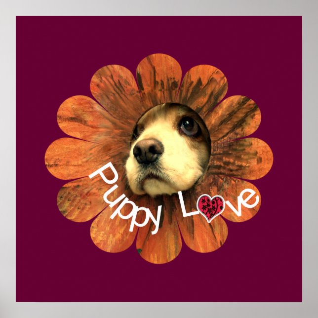 Pôster Amor de Cachorrinho (Frente)
