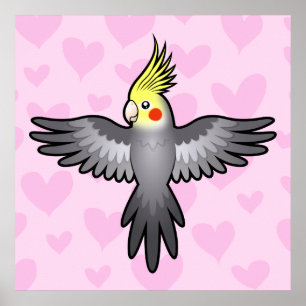 Pôster Amor de Calopsita