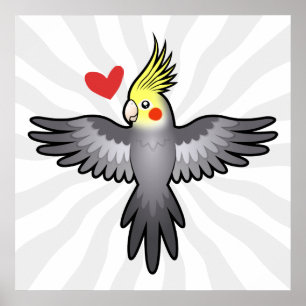 Pôster Amor de Calopsita