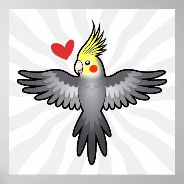 Pôster Amor de Calopsita (Frente)