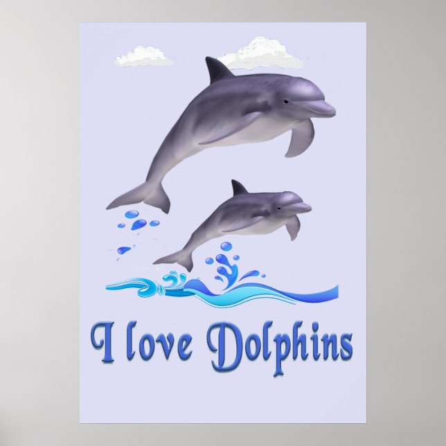 Poster Amor de Golfinho (Frente)