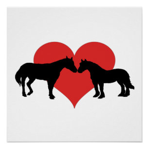 Pôster Amor do cavalo