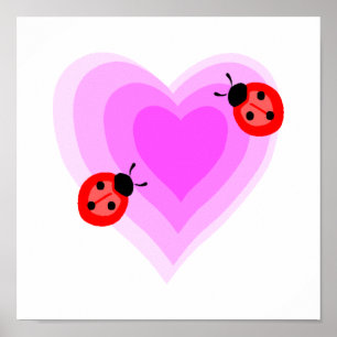 Pôster Amor do joaninha