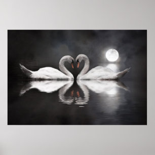 Pôster Amor do lago swan