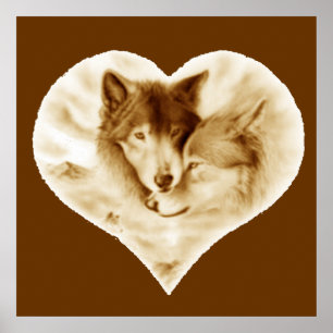 Pôster Amor do lobo