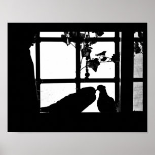 Poster Amor do pombo