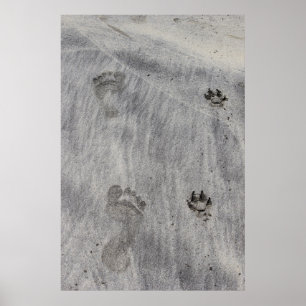 Poster Amor escrito areia