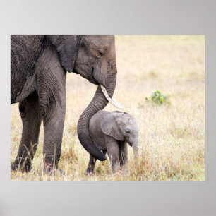 Poster Amor maternal