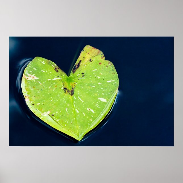 Pôster Amor natural (Frente)