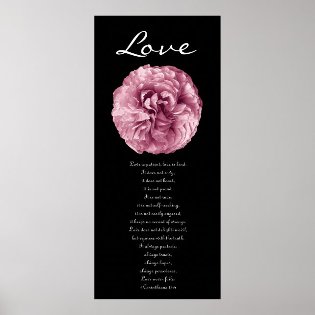 Poster Amor - Rosa Rosa Rosa Rosa Rosa (Frente)