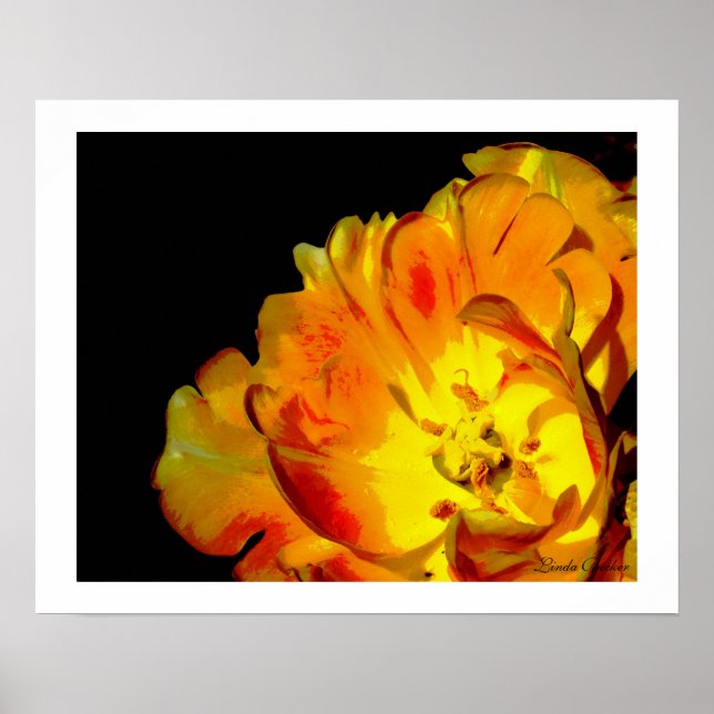 Pôster Amor sem fim por Linda Becker (Frente)