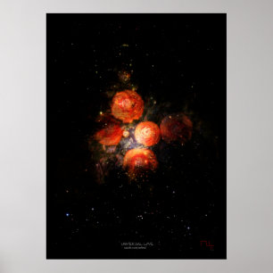 Pôster Amor universal