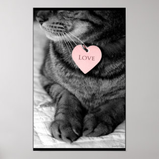 Poster Amor Verdadeiro