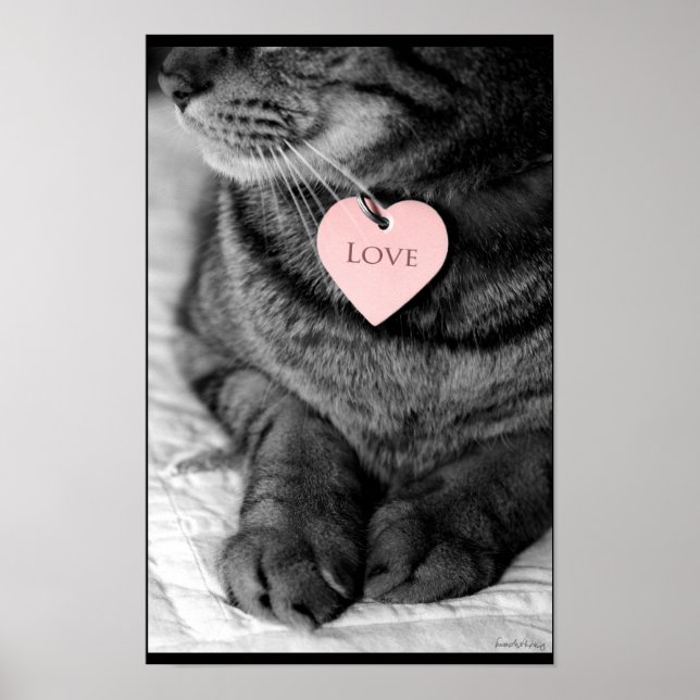 Poster Amor Verdadeiro (Frente)