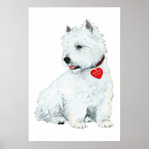Poster Amor Westie