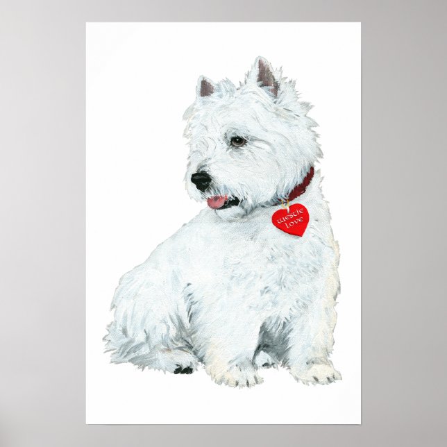 Poster Amor Westie (Frente)