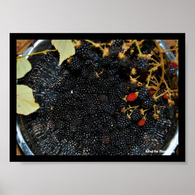 Poster Amoras em Escorredor (Frente)