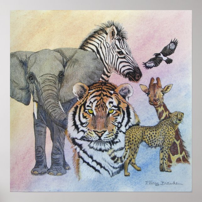 Poster Amostra Safari (Frente)