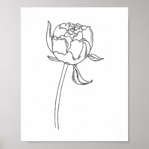Poster Ampola de flores de pedônia aberta desenhada em p