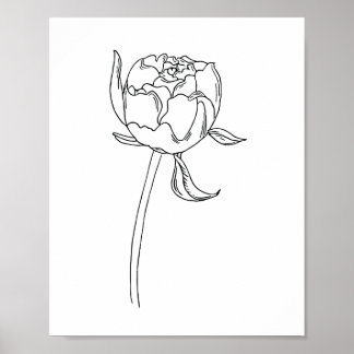 Poster Ampola de flores de pedônia aberta desenhada em po