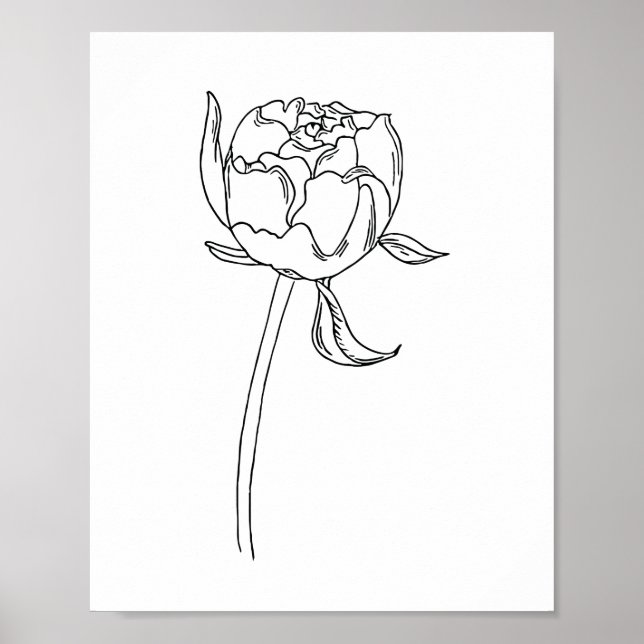 Poster Ampola de flores de pedônia aberta desenhada em po (Frente)