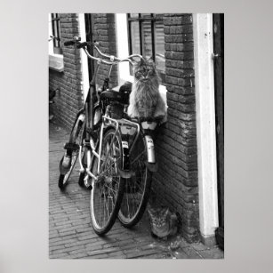 Poster Amsterdam Gates em Bicicletas Foto Preta e Branca