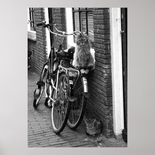 Poster Amsterdam Gates em Bicicletas Foto Preta e Branca (Frente)