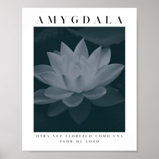 Poster AMYGDALA - LOTUS FLOWER, Paleta de Cinzas, Vintage