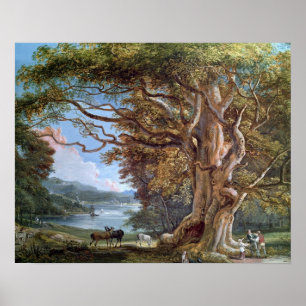 Poster An Antiga Beech Tree, 1794 (óleo na canvas)
