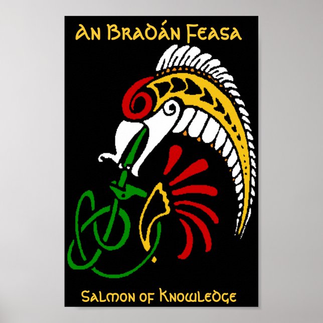 Poster An BradÃ, Feasa - O Salmão do Conhecimento (Frente)