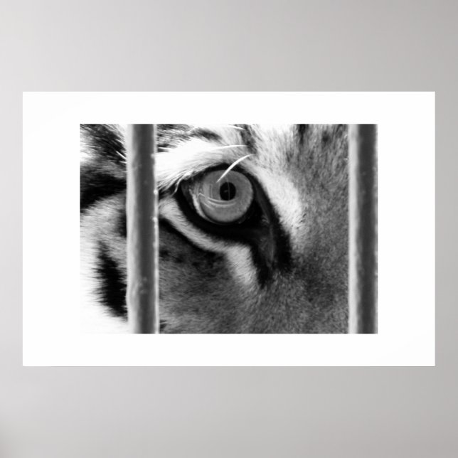 Poster analisando (Frente)