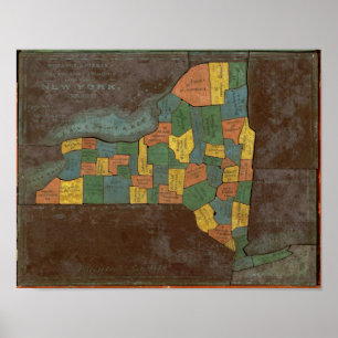 Pôster Análise geográfica do estado de New York