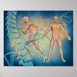 Poster Anatomia Arte Digital