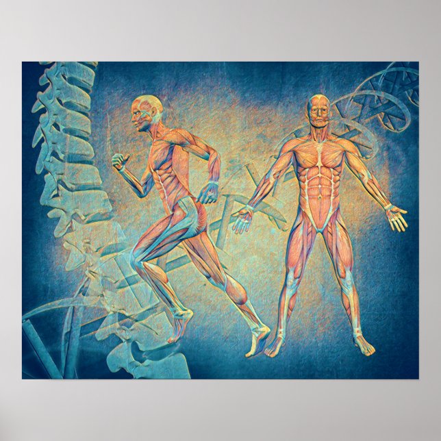 Poster Anatomia Arte Digital (Frente)