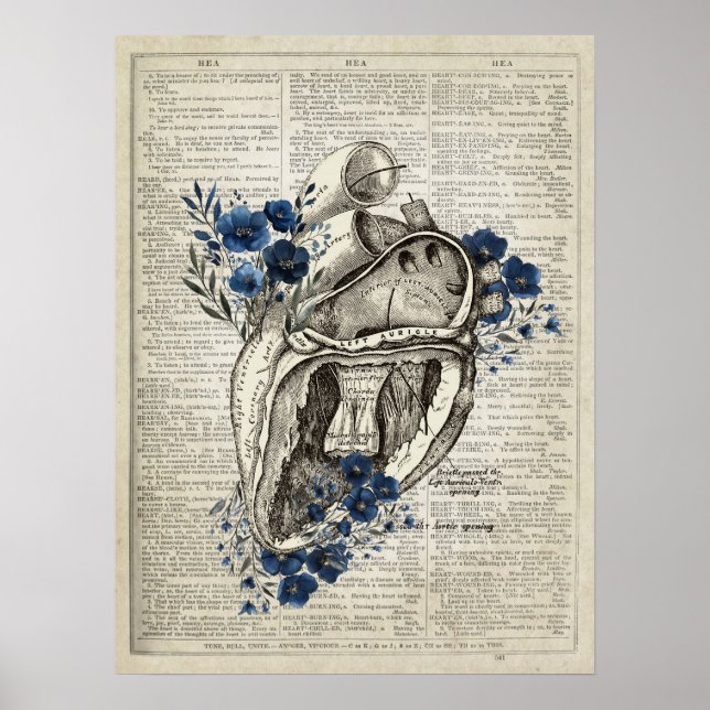 Poster Anatomia cardíaca com flores Dictionary Art (Frente)